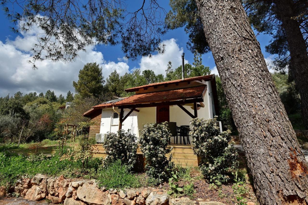 Zimmers At The Forest Amirim Exterior foto