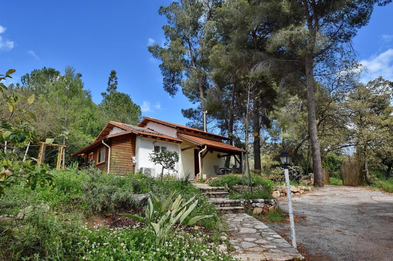 Zimmers At The Forest Amirim Exterior foto